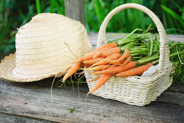 Similar image 738789