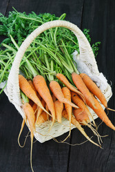 Similar image 738792