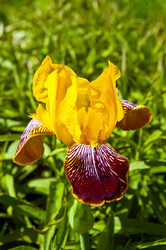 Similar image 738839