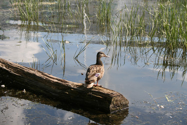 Similar image 738844