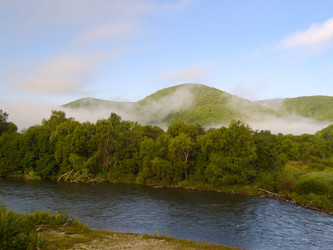 Similar image 738882