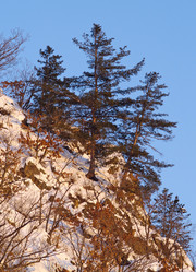 Similar image 738883