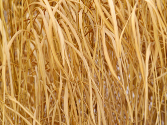 Similar image 738889