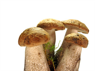 Similar image 738909