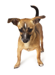 Similar image 738920