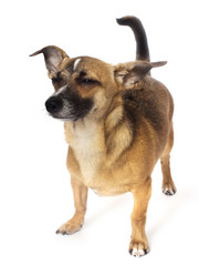 Similar image 738921