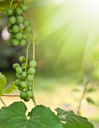 Similar image 738923