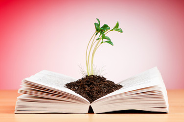 Similar image 739042