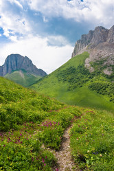 Similar image 739048