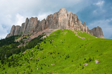 Similar image 739049