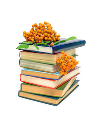 Similar image 739107