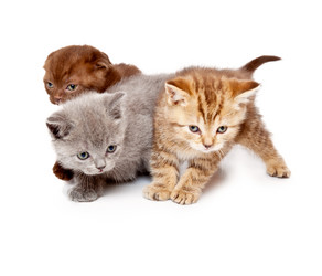 Similar image 739144