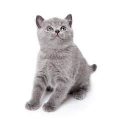 Similar image 739145