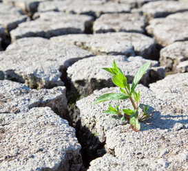 Similar image 739146