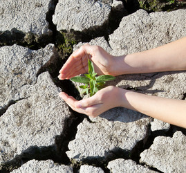 Similar image 739147