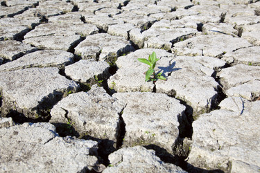 Similar image 739148