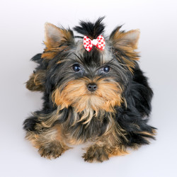 Similar image 739210