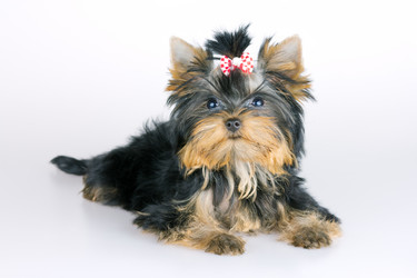 Similar image 739213