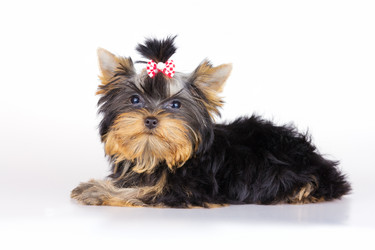 Similar image 739214