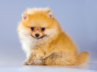 Similar image 739215