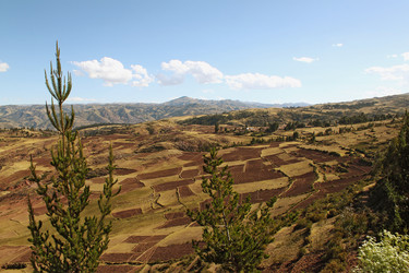 Similar image 739219