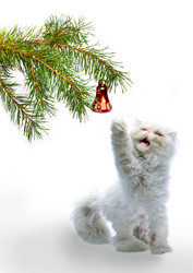 Similar image 739239