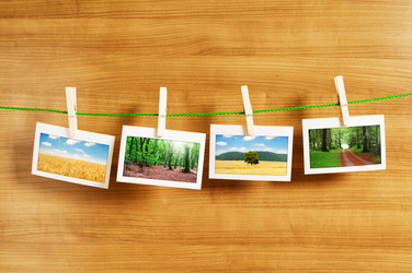 Similar image 739314