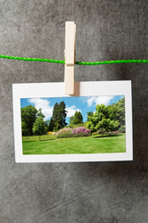 Similar image 739315