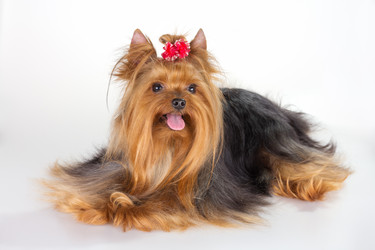 Similar image 739326