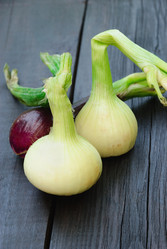 Similar image 739364