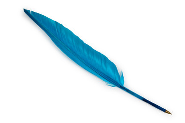 Similar image 739421