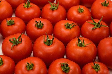 Similar image 739509