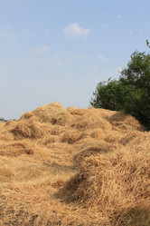 Similar image 739529