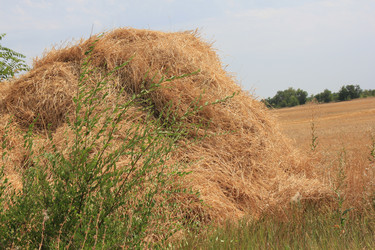 Similar image 739531