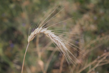 Similar image 739535