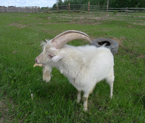 Similar image 739538