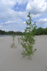 Similar image 739573