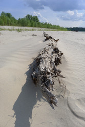 Similar image 739574