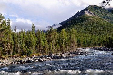 Similar image 739576