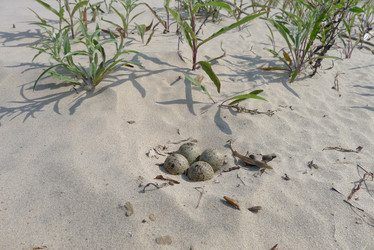 Similar image 739579