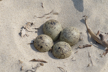 Similar image 739581