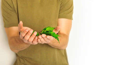 Similar image 739623