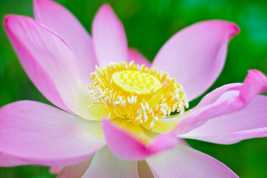 Similar image 739657