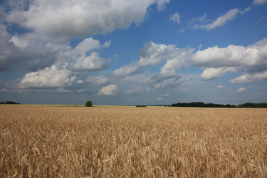 Similar image 739684