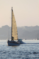 Similar image 739694