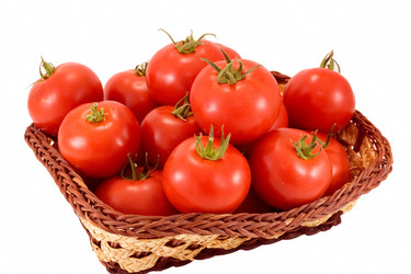 Similar image 739776