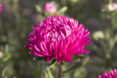 Similar image 739777