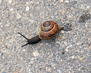 Similar image 739823