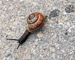 Similar image 739824