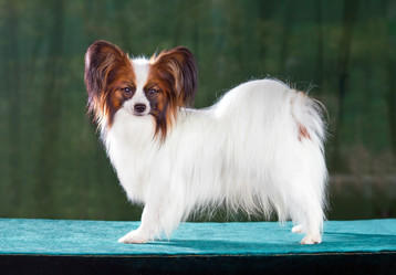 Similar image 739826